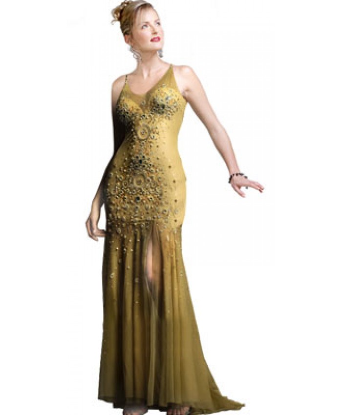 Intricately Beaded Net Satin U Neck Gown