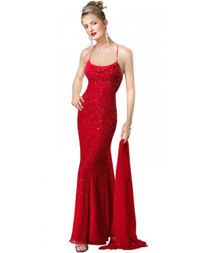 Chiffon Cowl Sequinned Figure Flattering Evening Gown